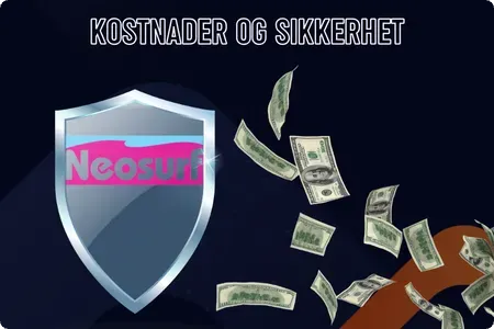 Neosurf Kostnader og sikkerhet