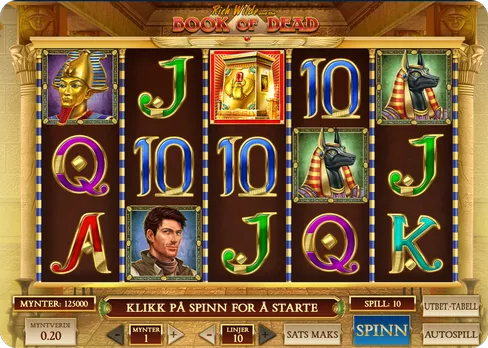 Book of Dead slot tips