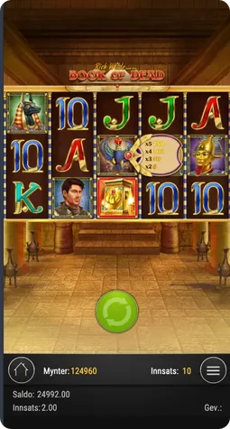 Spesialsymboler i Book of Dead