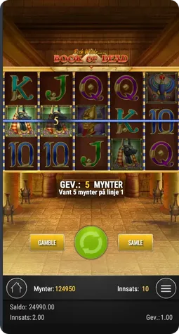 Spillregler i Book of Dead