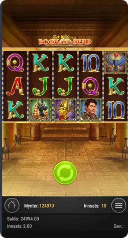 Spillfunksjoner i Book of Dead